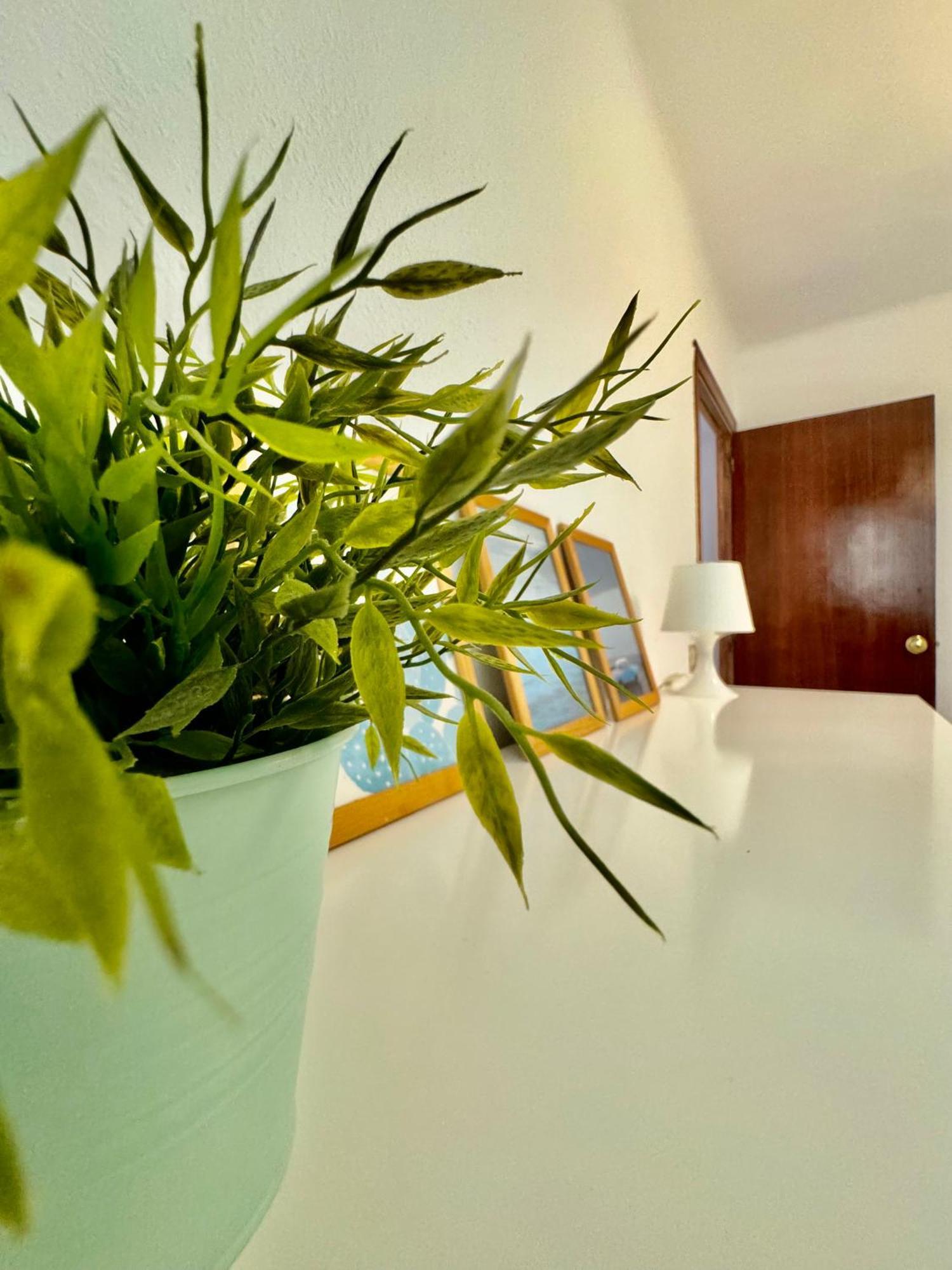 Acogedor Apartamento En Màlaga Exteriér fotografie