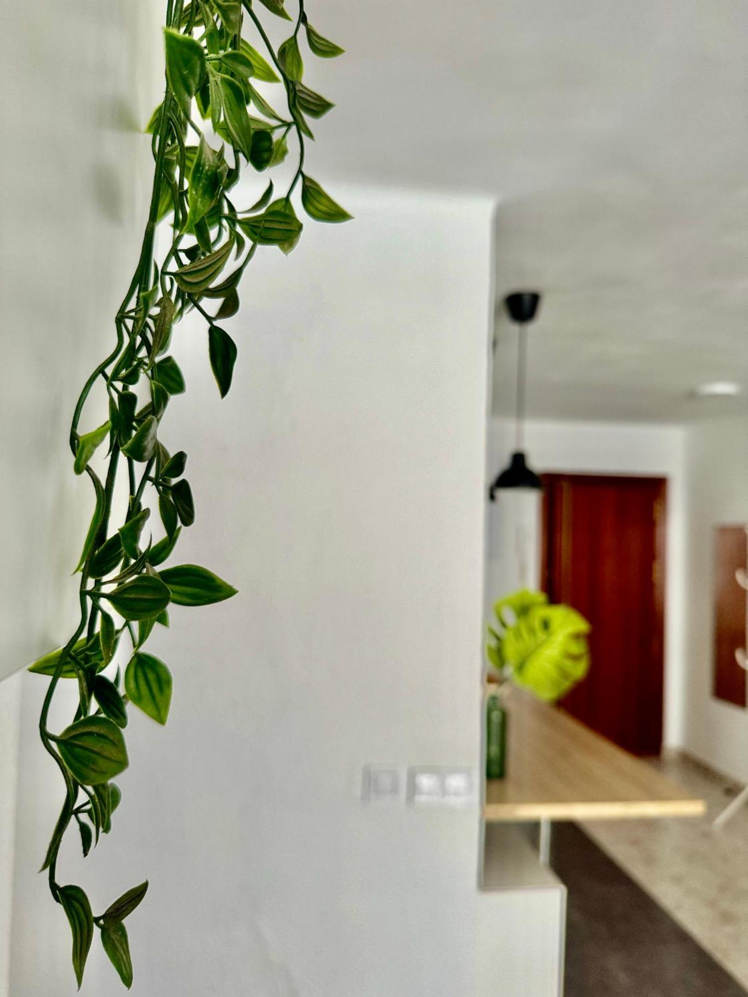 Acogedor Apartamento En Màlaga Exteriér fotografie